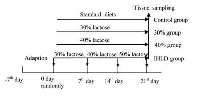 Lactose-Induced Chronic Diarrhea Results From Abnormal Luminal Microbial Fermentation and Disorder of Ion Transport in the Colon